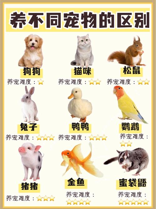 宠物连连看经典版官方版