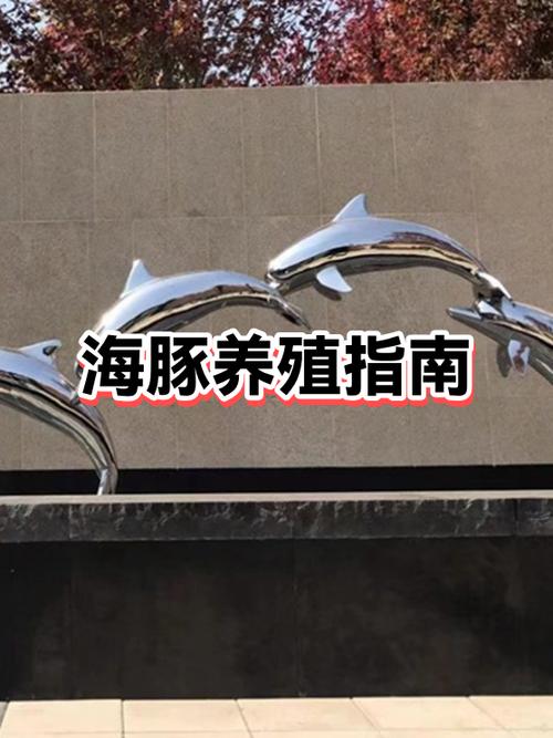 我的世界喂海豚