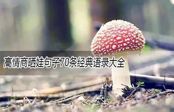 高情商晒娃句子截图3