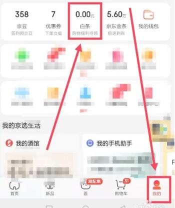京东极速版的白条在哪里看