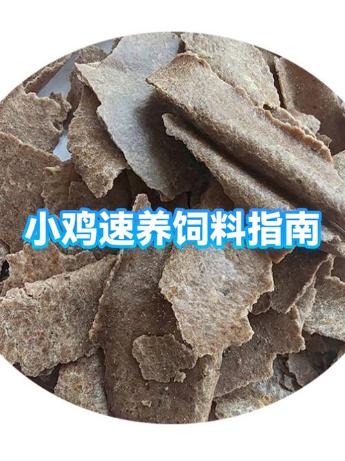 正确养小鸡的方法