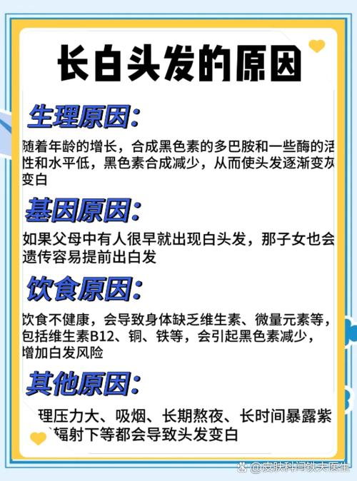 头发白什么原因截图2