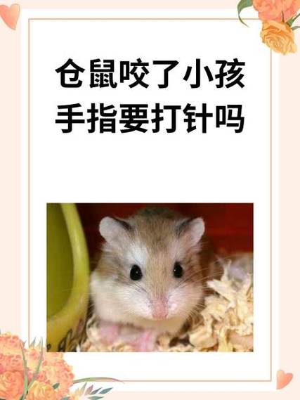 仓鼠咬人疼吗