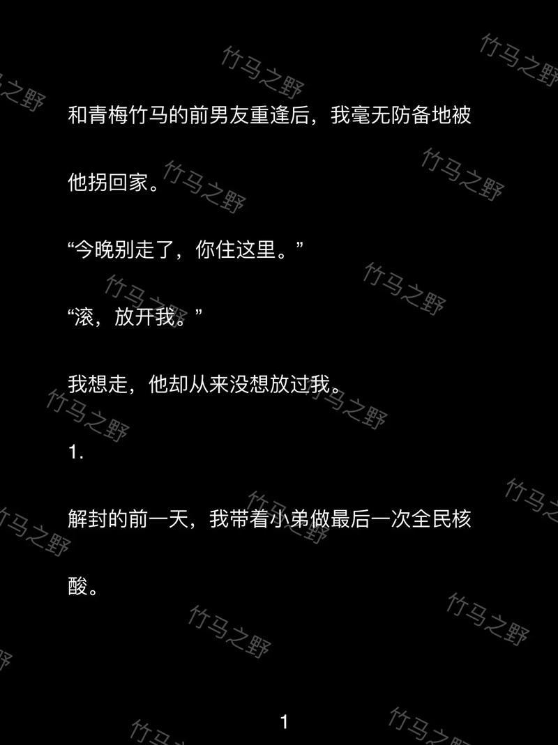 竹马轻轻来免费阅读全文截图2