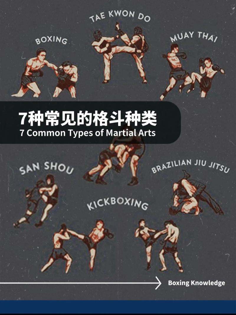 搏击有几种