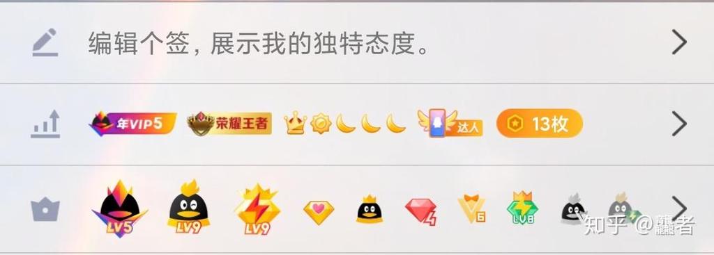 QQ大vip1是干嘛的