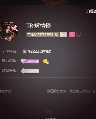 tt语音等级