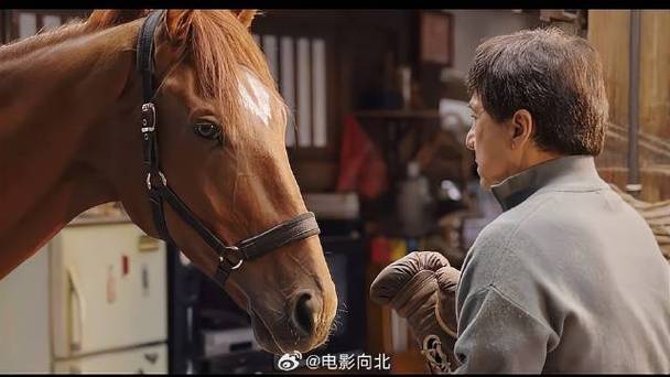 最后的我们赤兔电影版