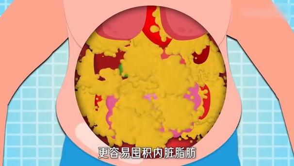 内脏脂肪如何减掉
