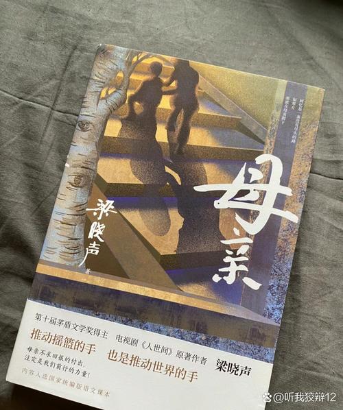 高贵的母亲张羽的小说阅读