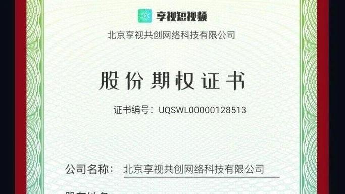 中国全民持股平台