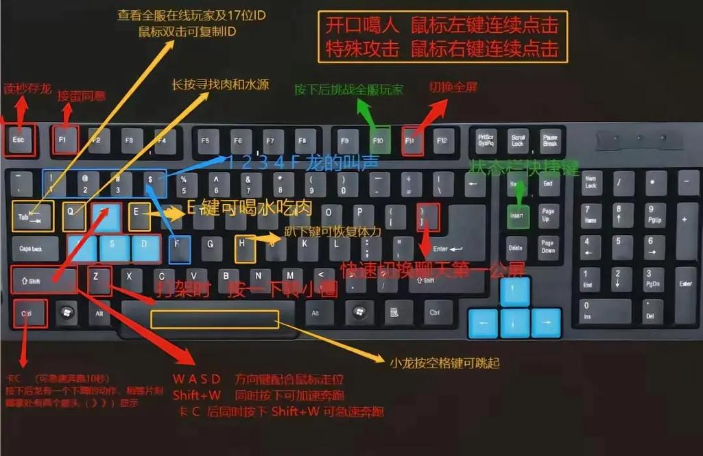 csgo新手按键教程