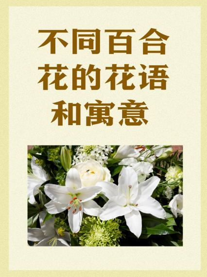 百合的花语