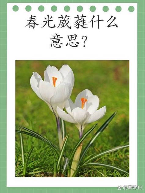 桌面是什么意思