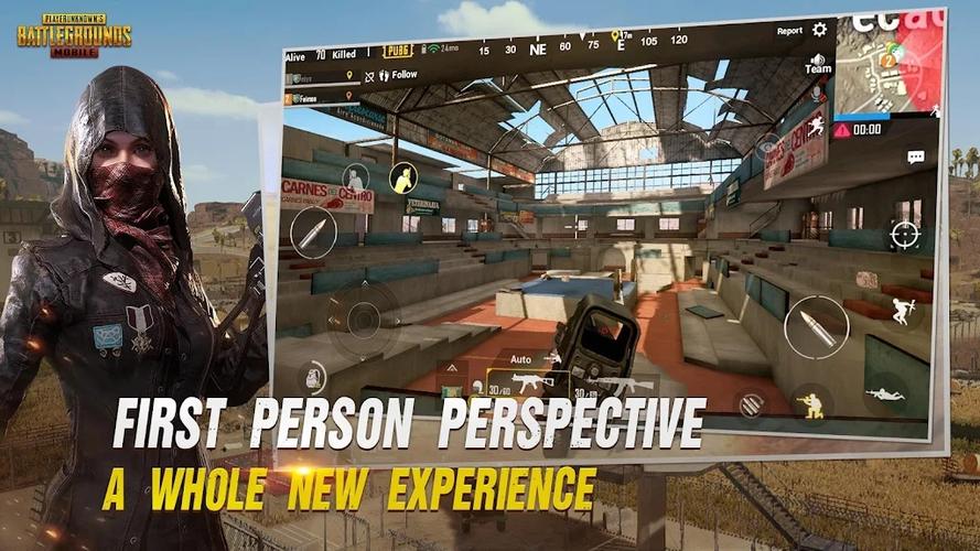 pubg绝地求生体验服下载截图2