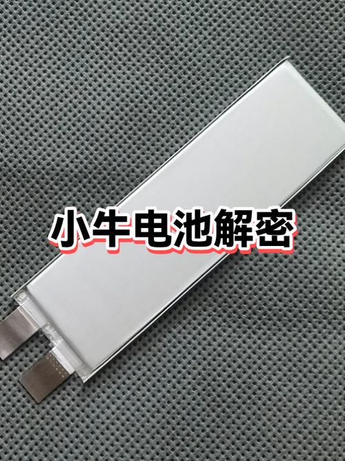 小牛电池充一夜可以吗