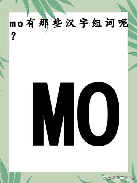MO在医学是什么意思