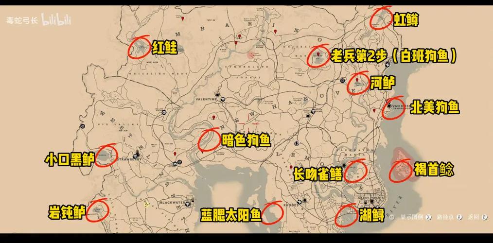 荒野大镖客2传说鱼怎么卖
