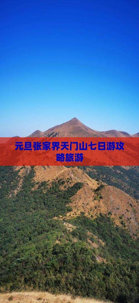 过年七天旅游景点