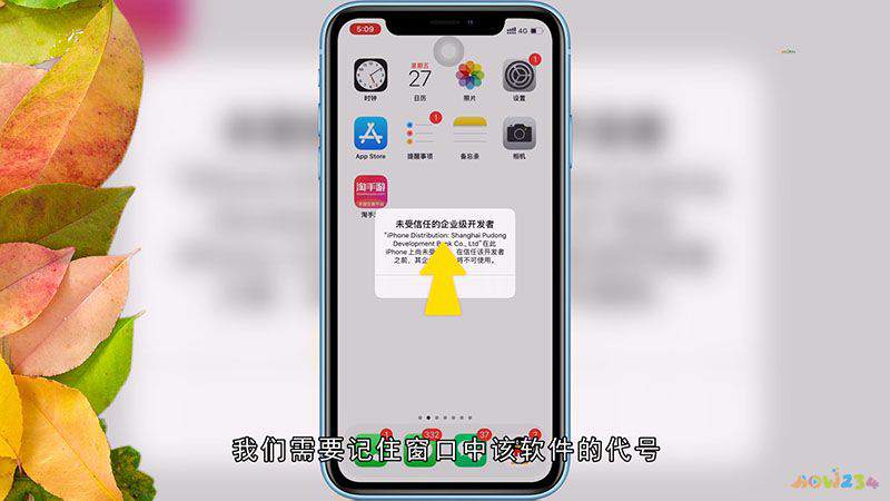 苹果信任之后的软件怎么取消信任