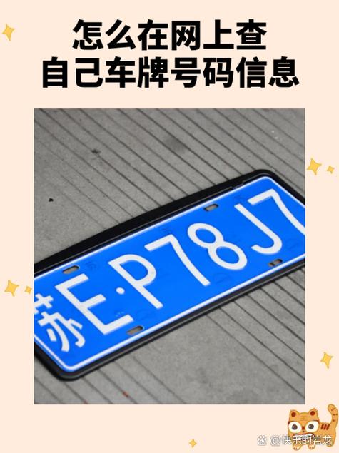 怎么查车牌号是不是区域指标截图3