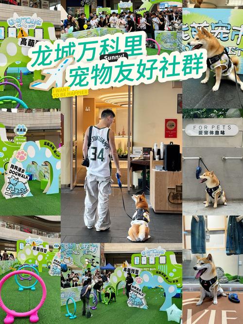 友宠互娱