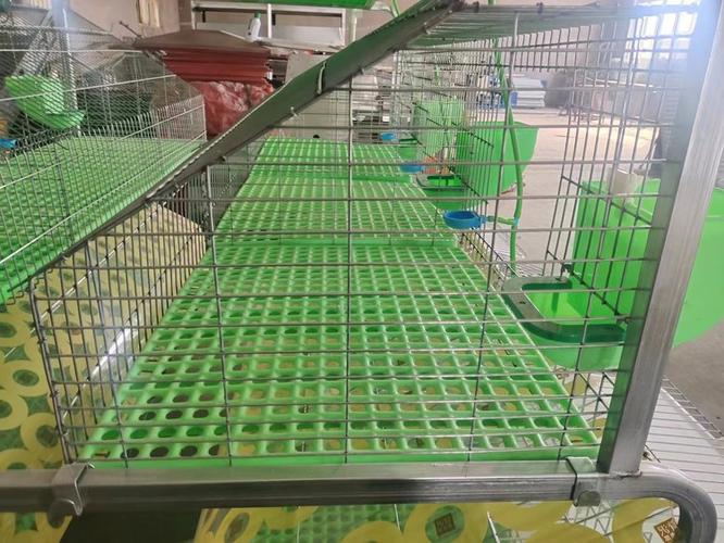 60×70的兔笼能养几只兔子