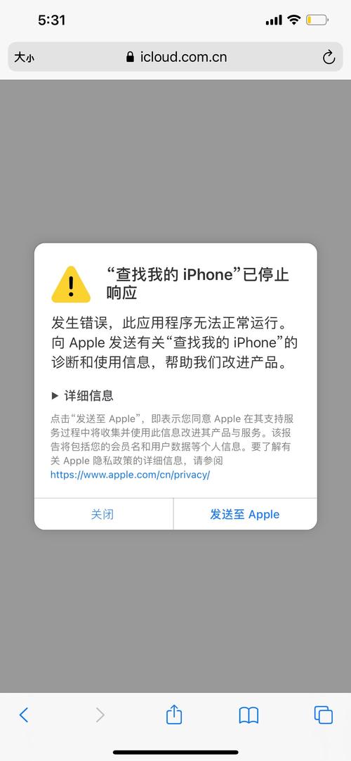 已在“iPhone”上停用“查找”