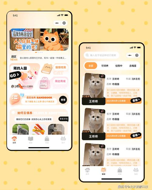 喵屋软件是干嘛的