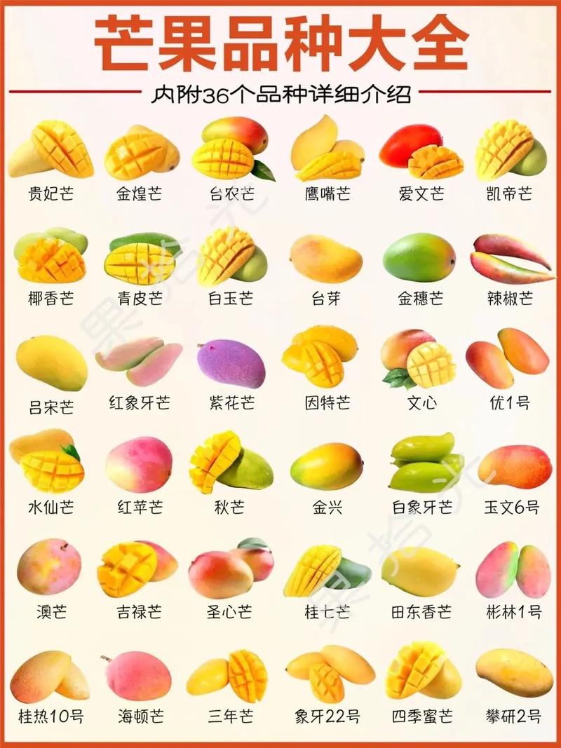 各种芒果的图片和名称