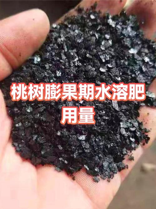 桃树膨果用什么药