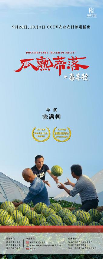 西瓜电影