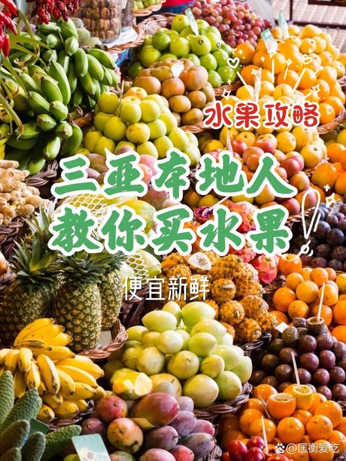 藏宝海湾哪里买水果