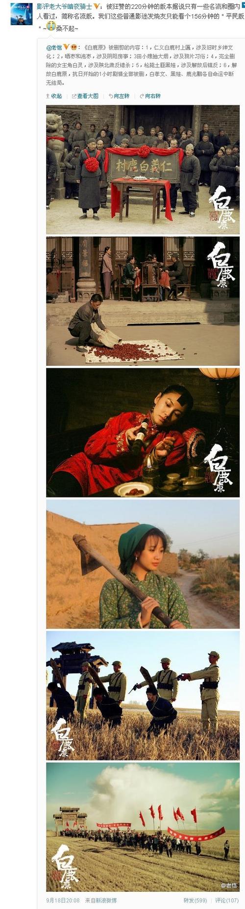 《白鹿原》海外版版