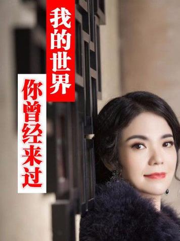 我的世界里曾经你来过