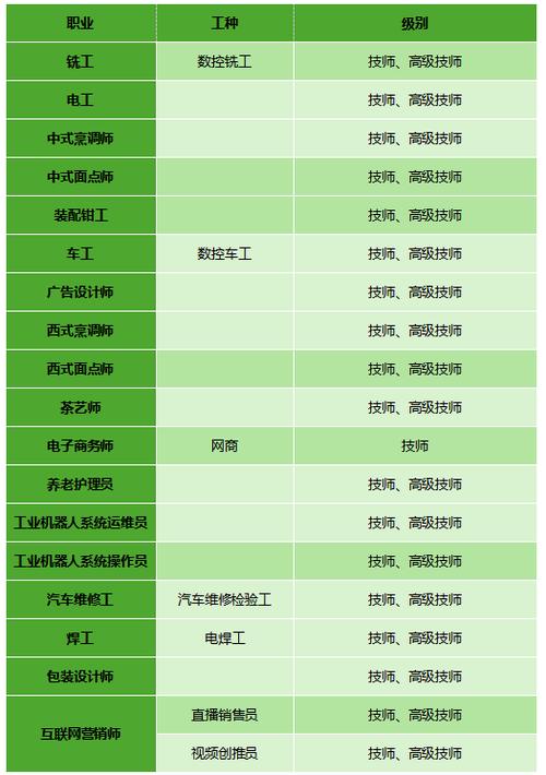 高级技师证查询入口