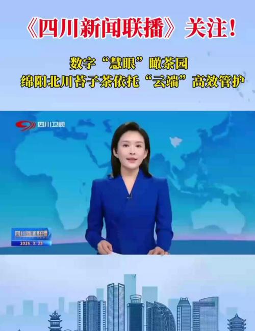绵阳市新闻联播