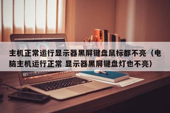 电脑键盘不亮 显示器黑屏