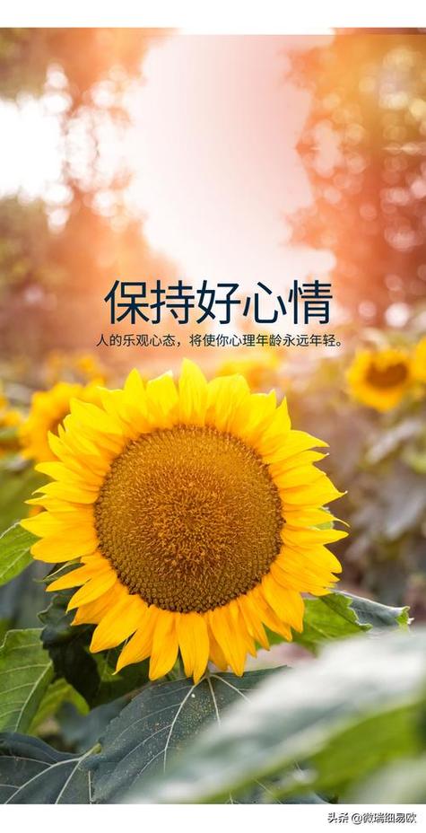 滋润好心情