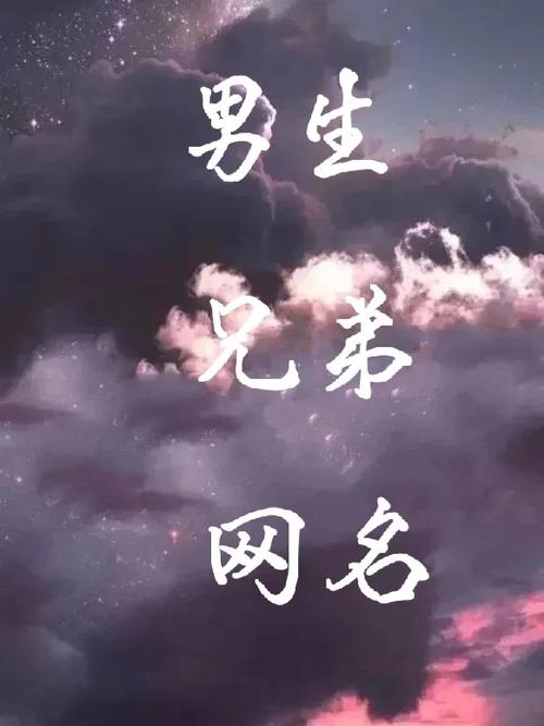 男生兄弟网名