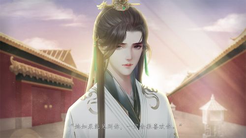 妃笑长安城二哥