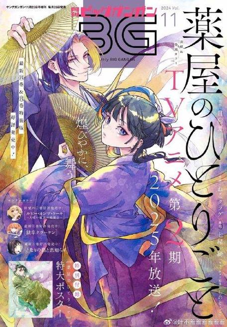 药师少女壬氏真实身份