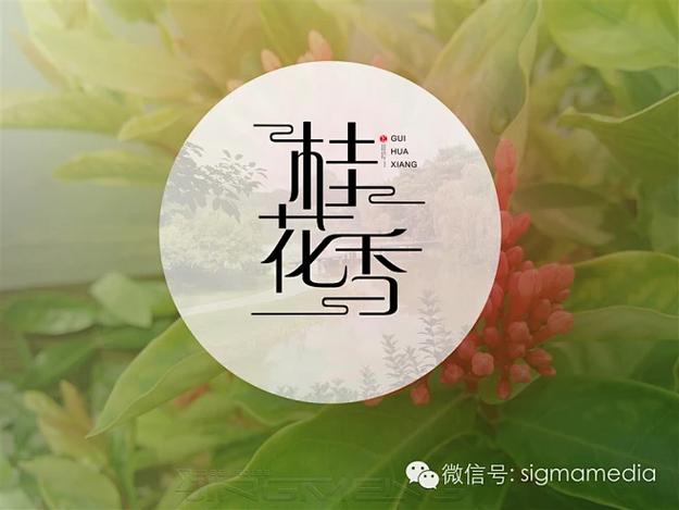 花瓣网不清楚