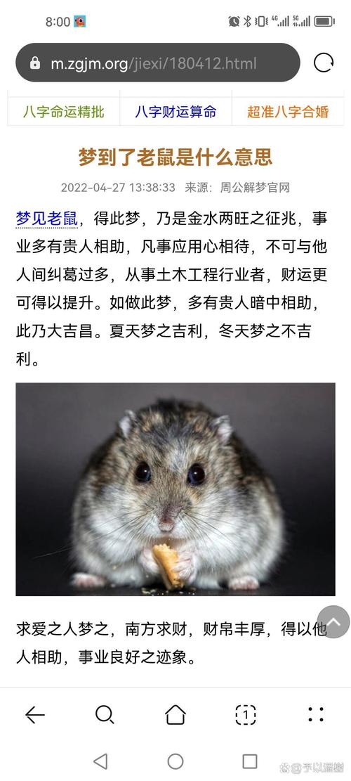 女人梦见老鼠从屋顶掉下来