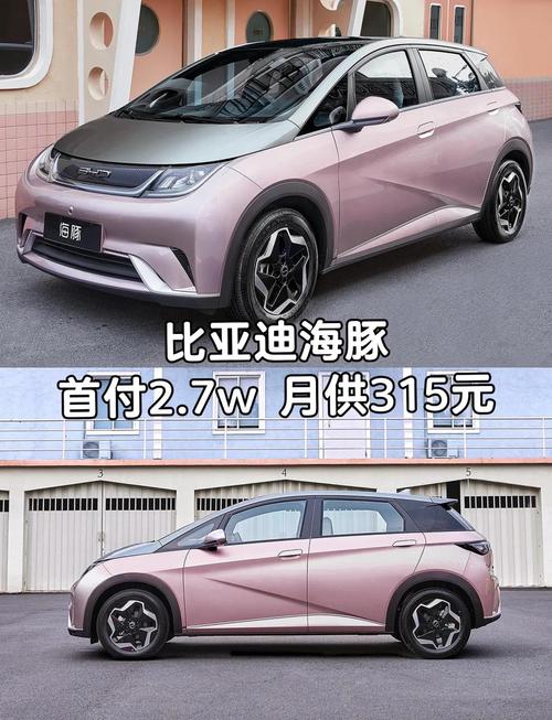 比亚迪海豚新款2026款落地价多少