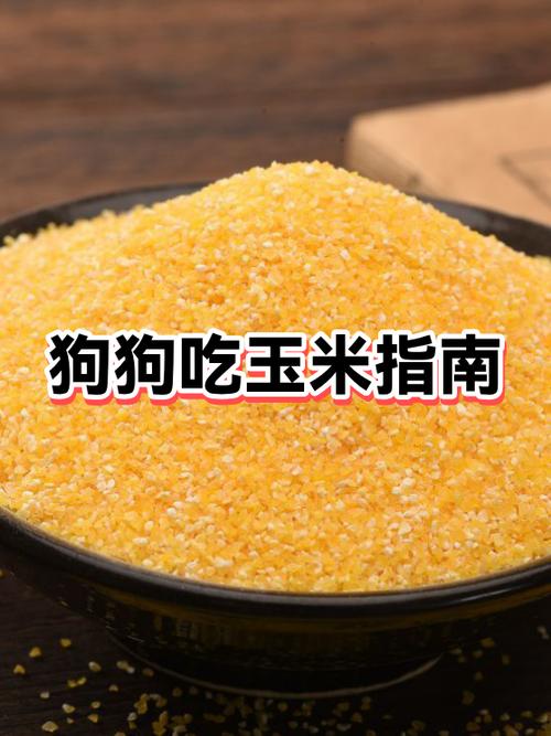狗能吃玉米粒儿吗截图2