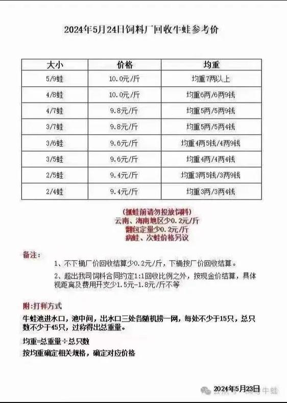 今天牛蛙行情价格