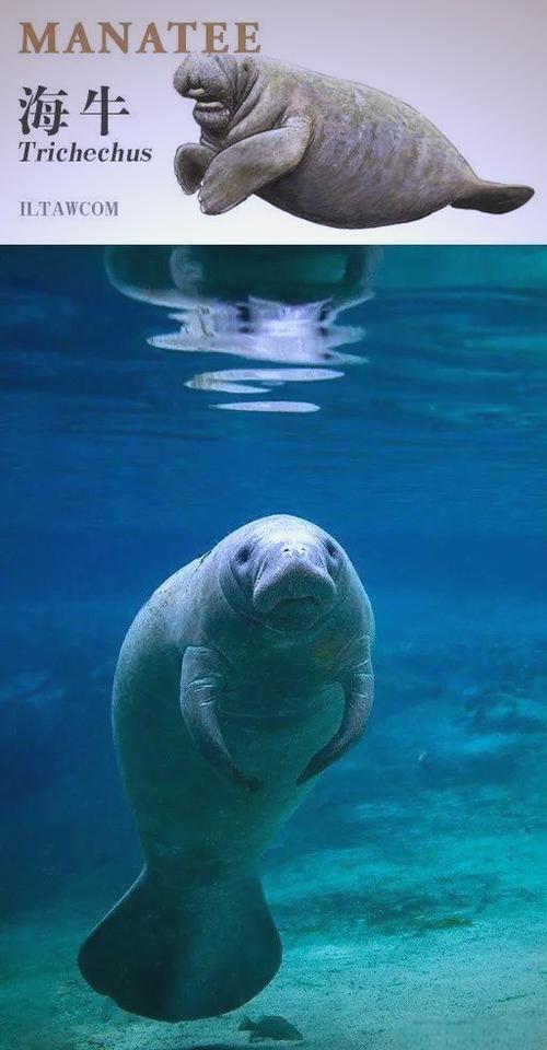仙葫农场海牛笔趣阁