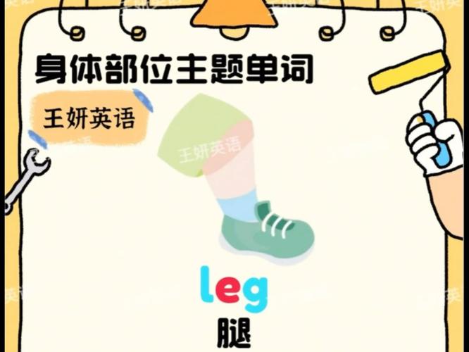 英语 腿