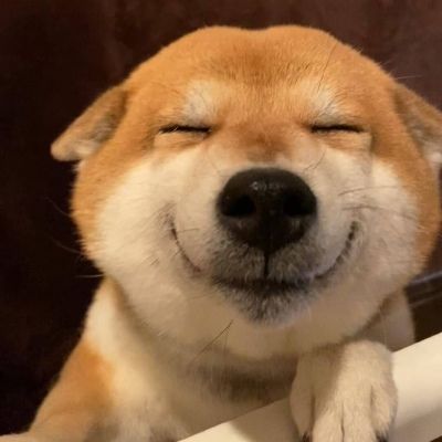 狗头头像